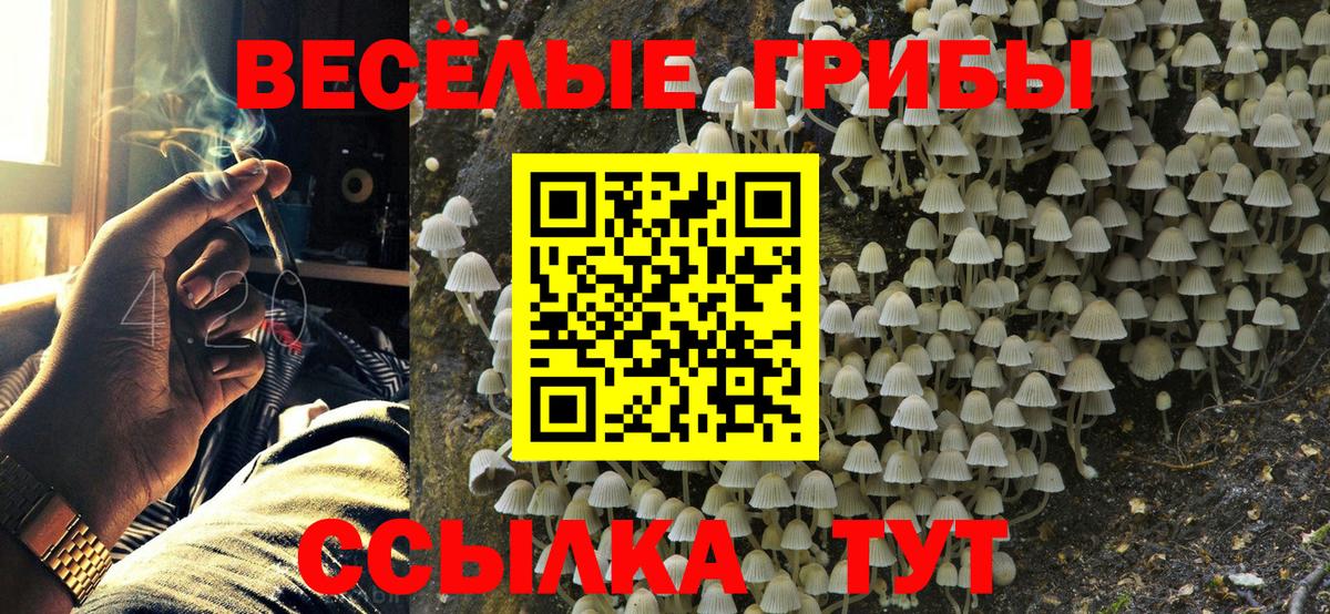 Псилоцибиновые грибы мухоморы Фурманов